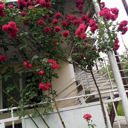 Mti House Hotel Kvesheti Exterior photo