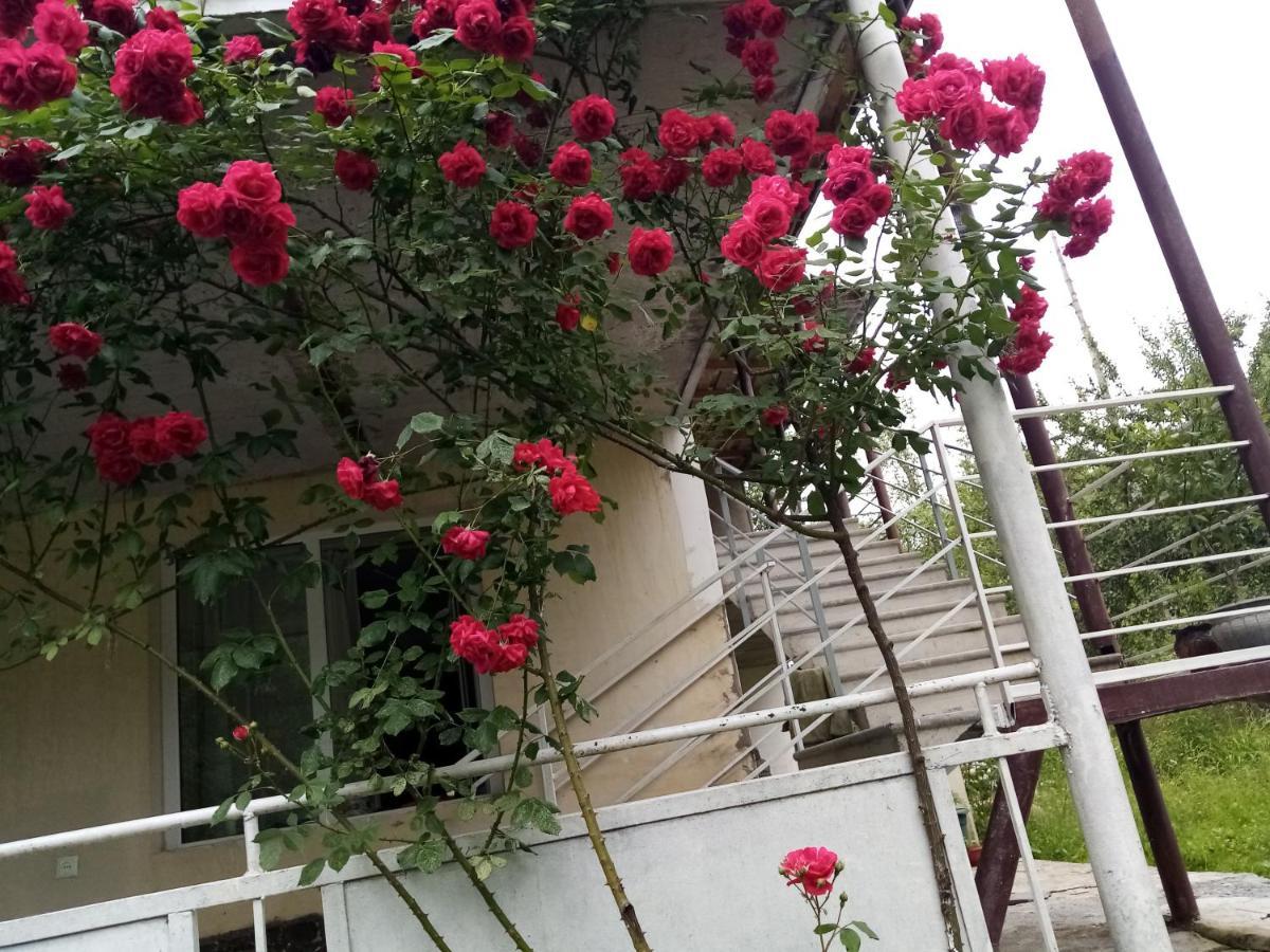 Mti House Hotel Kvesheti Exterior photo