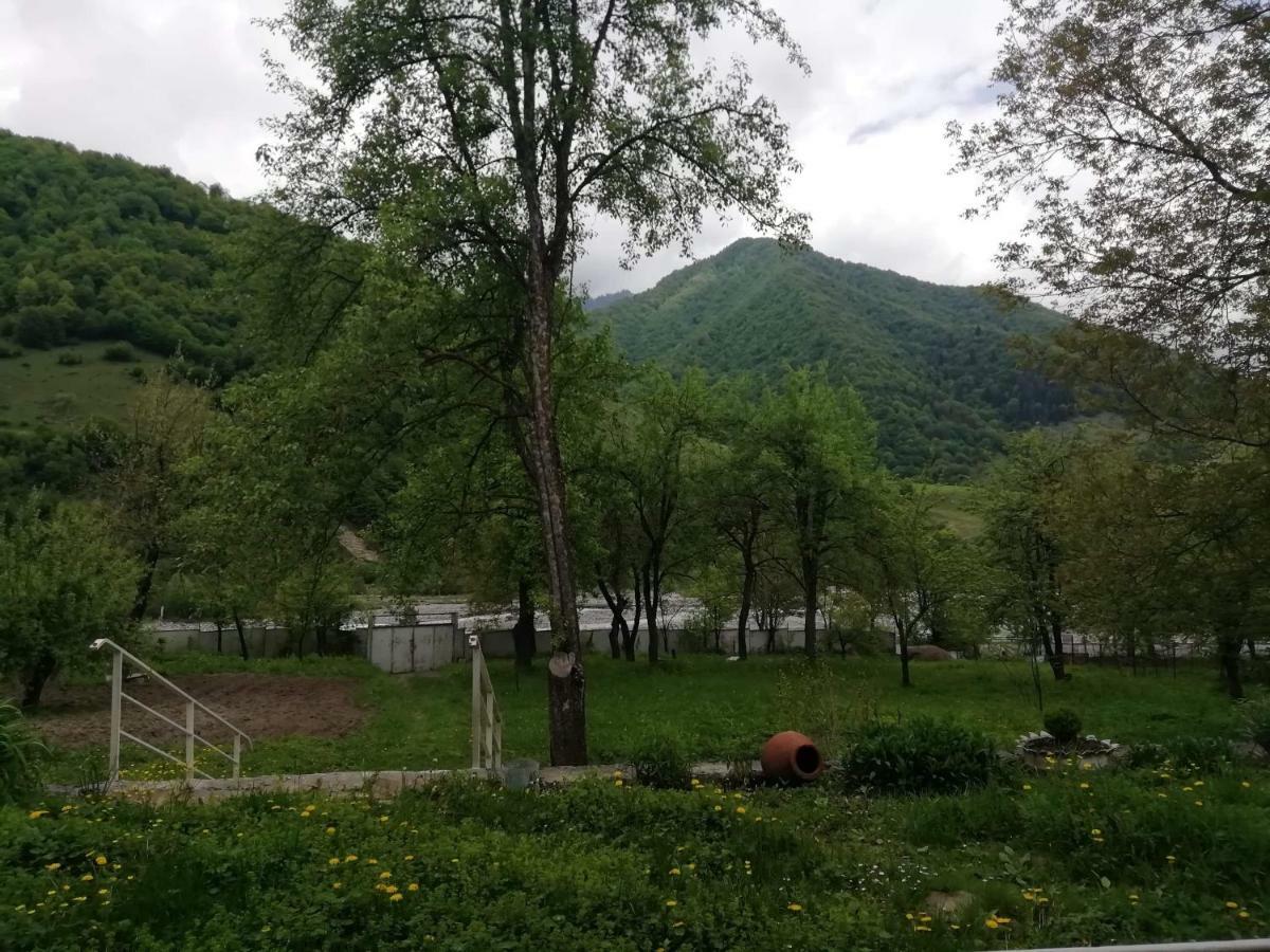 Mti House Hotel Kvesheti Exterior photo
